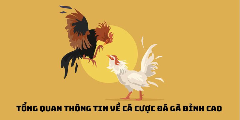 cá cược đá gà